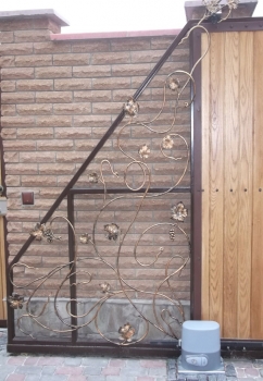 DSCF1059.jpg