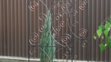 DSCF0814